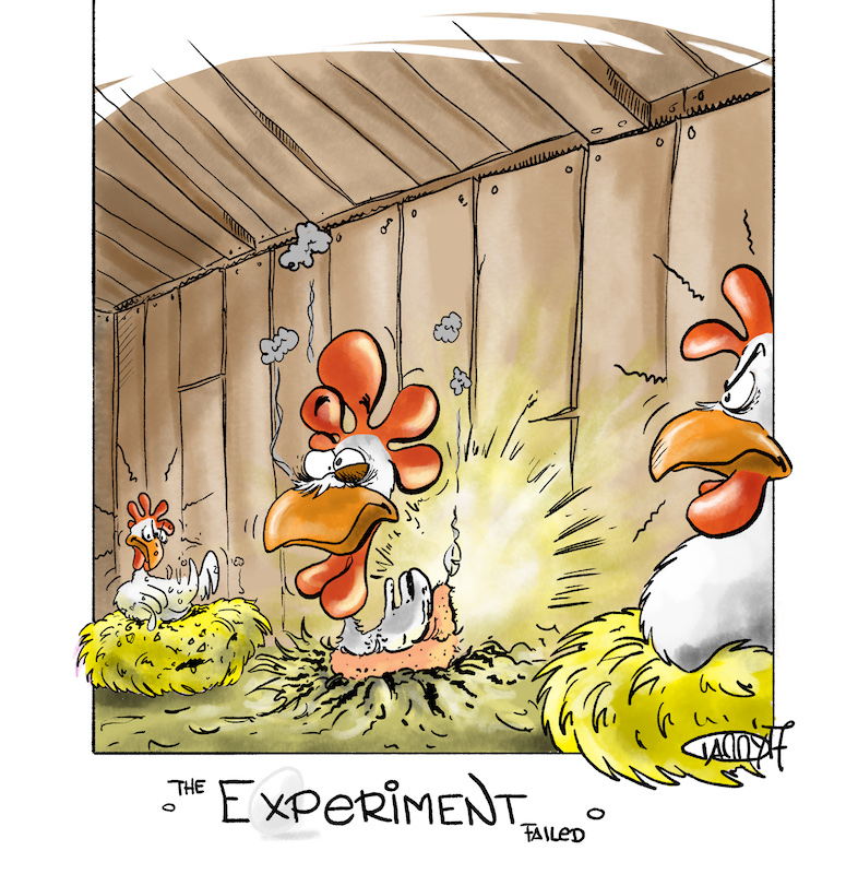 Henrietta, the science hen