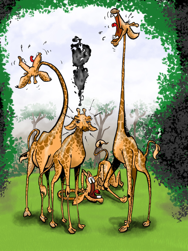 Not all are long necked in a Tower of Giraffes